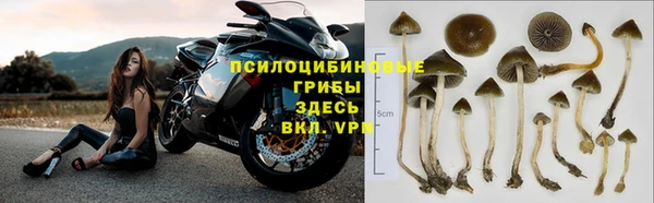 спайс Гусь-Хрустальный